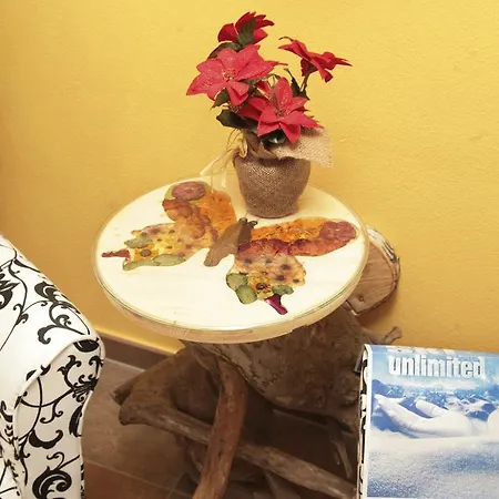 Eder Michaela Hotel Saalbach-Hinterglemm